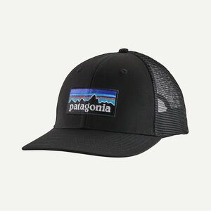 Patagonia Black Trucker Hat